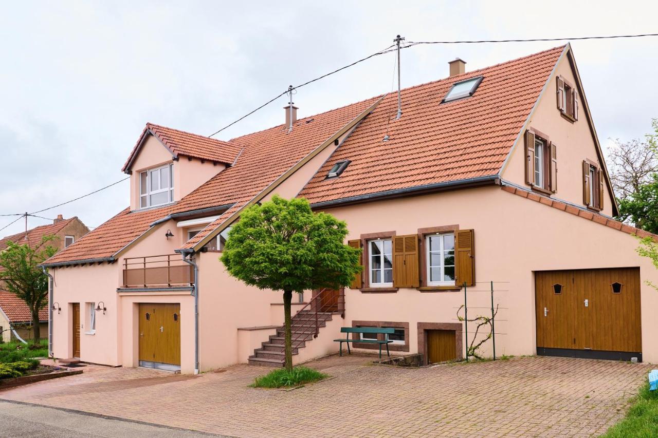 Ferienwohnung Le Pommier - Appt Avec Jardin Partage Puberg Exterior foto